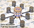 بازیابی اطلاعات  database